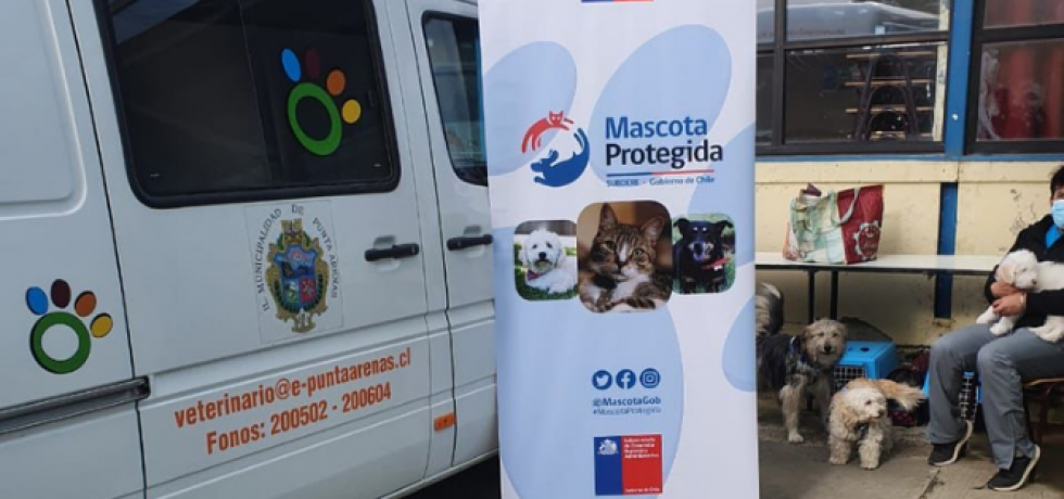 Mascota Protegida participa de primera ExpoMascotas en Punta Arenas Mascota Protegida participa de primera ExpoMascotas en Punta Arenas