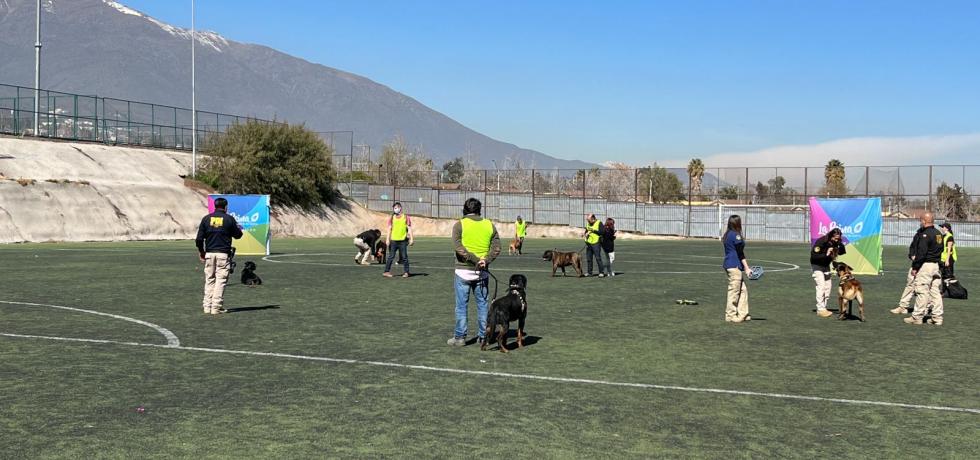 Subdere junto a Municipalidad de La Reina y PDI imparten taller de adiestramiento para perros Subdere junto a Municipalidad de La Reina y PDI imparten taller de adiestramiento para perros