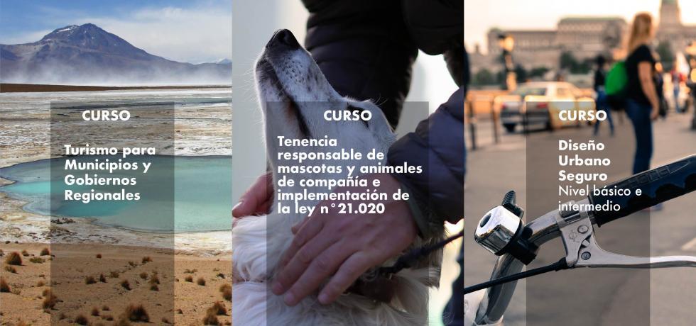 Más de 3 mil personas comenzaron los cursos sobre diseño urbano, turismo y tenencia responsable de mascotas Más de 3 mil personas comenzaron los cursos sobre diseño urbano, turismo y tenencia responsable de mascotas