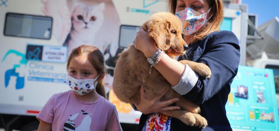 Primer estudio de población animal en Chile revela que hay 12 millones de perros y gatos con dueños y 4 millones sin supervisión