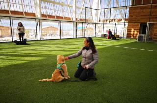 Vecinos de Cabo de Hornos participaron en taller de educación y entrenamiento para perros