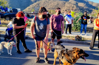 Más 100 mascotas fueron protagonistas en la corrida familiar de aniversario en Curacaví