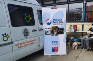 Mascota Protegida participa de primera ExpoMascotas en Punta Arenas