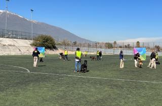 Subdere junto a Municipalidad de La Reina y PDI imparten taller de adiestramiento para perros