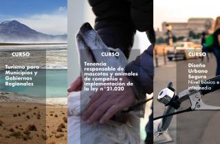 Subdere abre convocatoria para cursos de diseño urbano, turismo local y tenencia responsable de mascotas