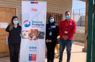 Más de $338 millones se han ejecutado en Atacama para promover la tenencia responsable de mascotas