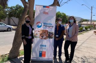 $32 millones ejecutó la Municipalidad de Copiapó para el bienestar de cuatro mil mascotas