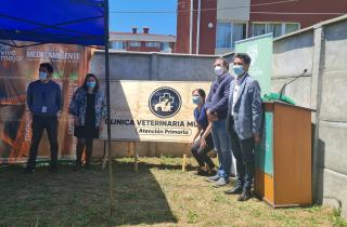 Más de 11.800 atenciones gratuitas se han realizado en el centro veterinario municipal de Valdivia