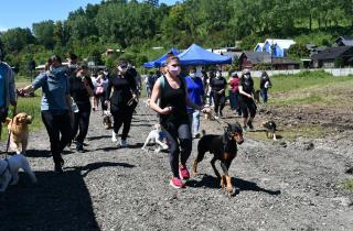 20 canes fueron protagonistas en la carrera Aperra con tu Mascota 2021 en Panguipulli